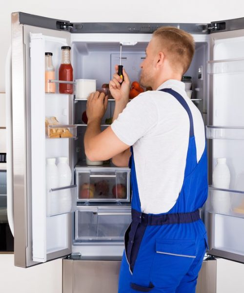 Male,Technician,Repairing,Broken,Refrigerator,Appliance,With,Screwdriver Male,Technician,Repairing,Broken,Refrigerator,Appliance,With,Screwdriver